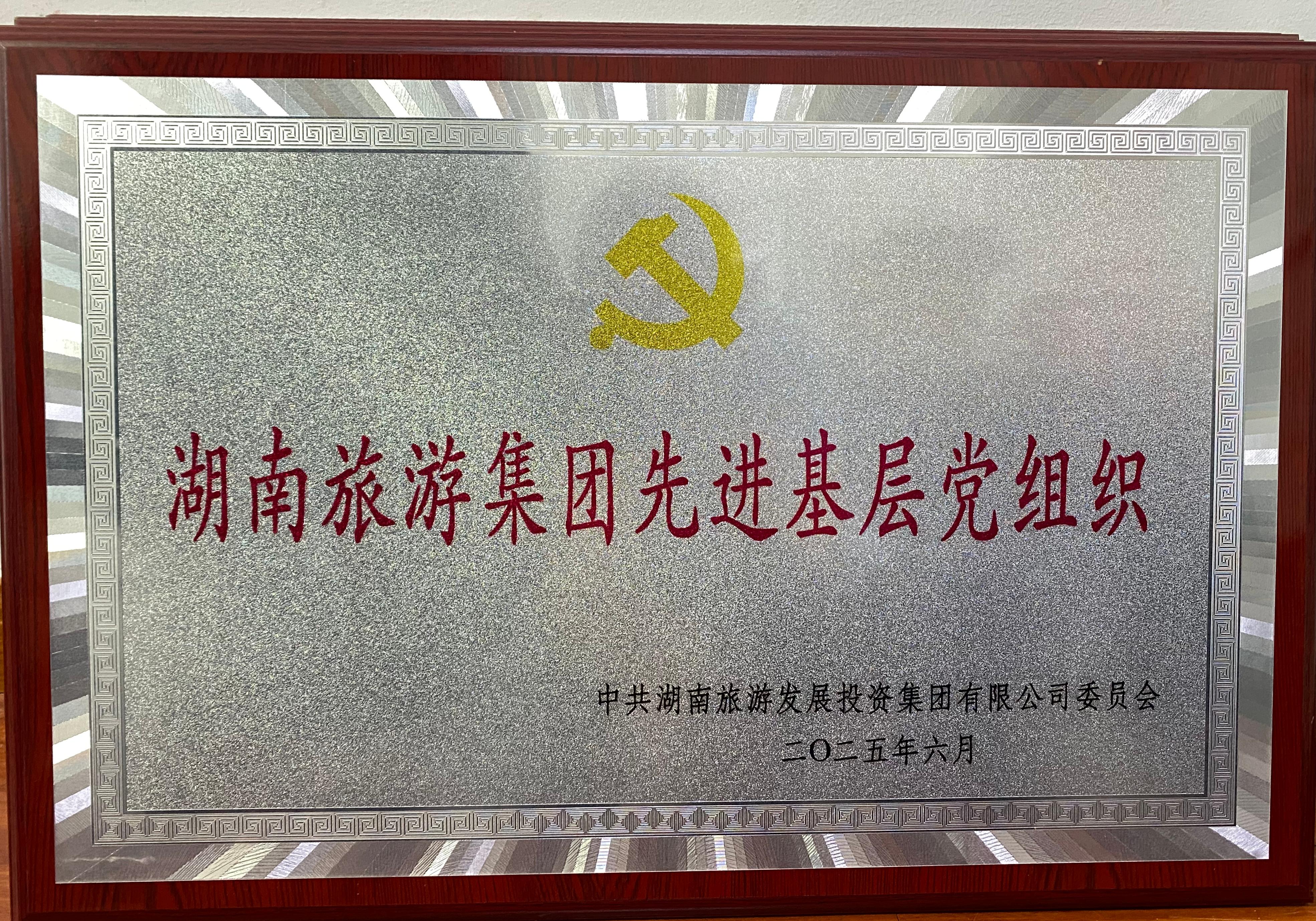 湖南旅游集团先进基层党组织